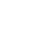 XLCUPS - Home