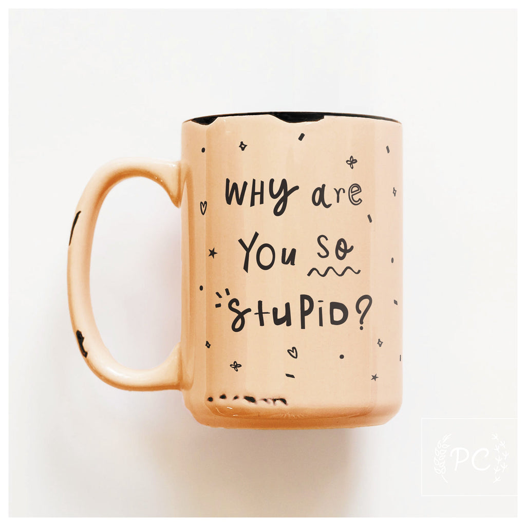 why are you so stupid? | ceramic mug