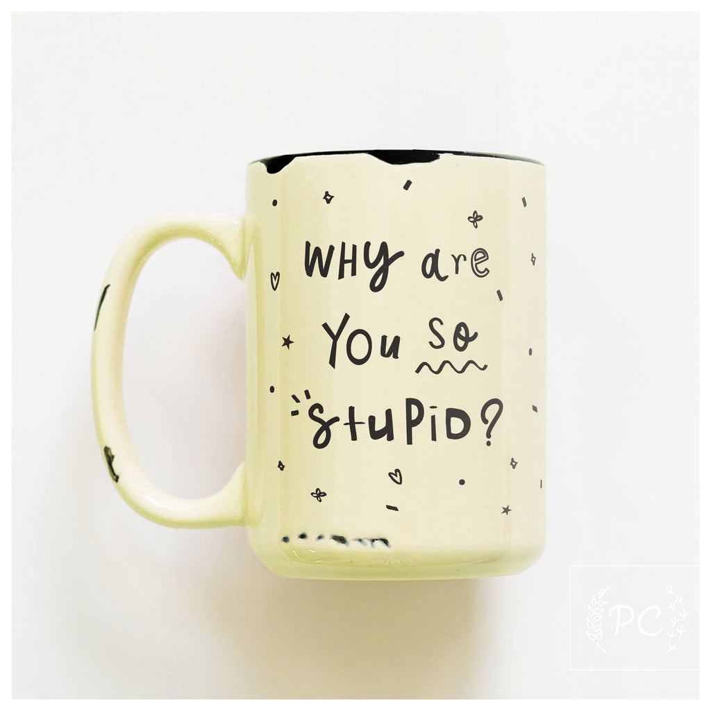 why are you so stupid? | ceramic mug